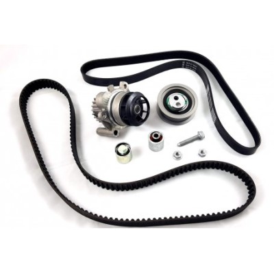 Genuine VAG Cambelt & Waterpump Kit EA113 - TFSi